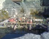 Flowserve Split Case Pumps in Quarry Installation