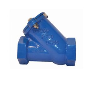 2" Blue Ball Check Valve Threaded